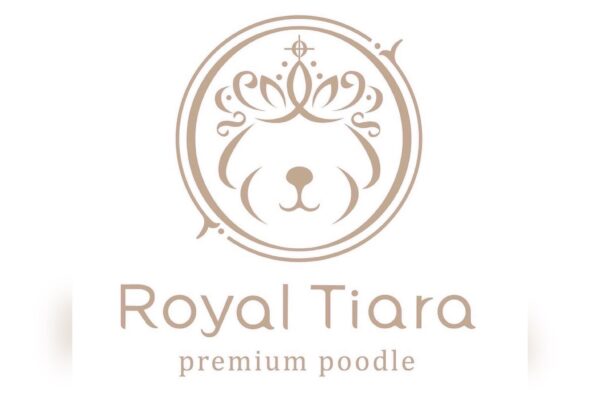 Royal Tiara premium poodle｜とびきり可愛いトイプードル専門 ...