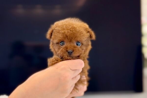 %e2%9c%a8%f0%9f%8c%b9duffy%e3%81%8f%e3%82%93%f0%9f%8c%b9%e2%9c%a8-5-29-1805%e6%9b%b4%e6%96%b0%e2%99%aa-%e5%a4%a9%e4%bd%bf%e3%81%8c%e9%99%8d%e8%87%a8%e2%9d%a4%e3%81%8a%e9%a1%94%e3%81%ae%e5%8f%af