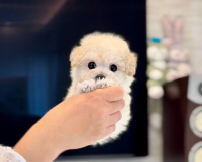 thumbnail_photo-output