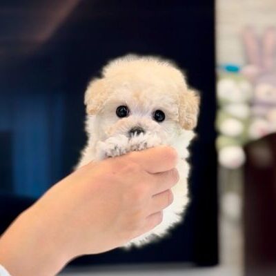 thumbnail_photo-output