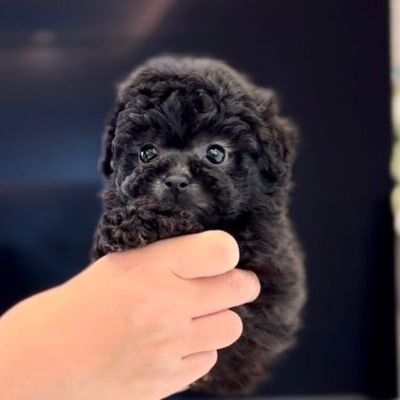 thumbnail_photo-output