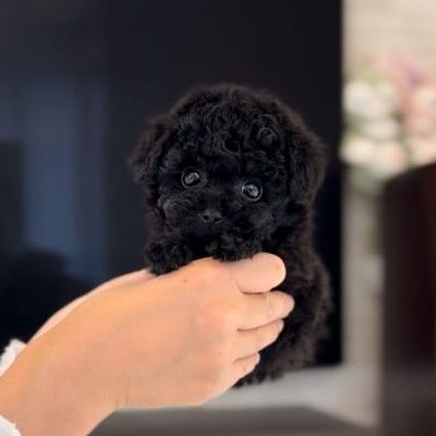 thumbnail_photo-output
