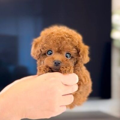 thumbnail_photo-output