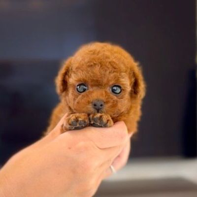 thumbnail_photo-output
