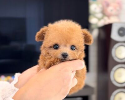rrr