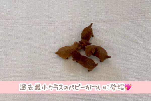 %e7%b7%8a%e6%80%a5%e5%91%8a%e7%9f%a5-10-22-1900%e6%9b%b4%e6%96%b0%e2%99%aa-%e7%94%9f%e5%be%8c2%e3%83%b6%e6%9c%88%e3%82%92%e3%81%99%e3%81%a7%e3%81%ab%e9%81%8e