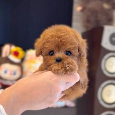 thumbnail_photo-output (1)