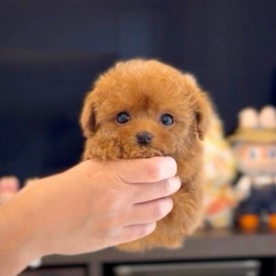 thumbnail_photo-output