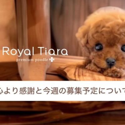 thumbnail_photo-output