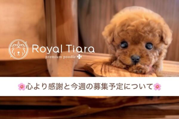 thumbnail_photo-output