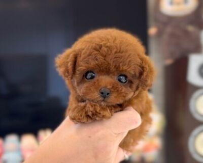 thumbnail_photo-output