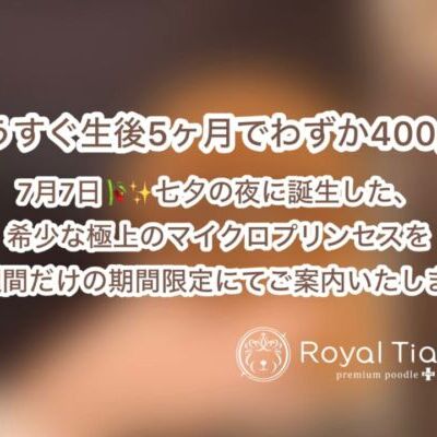 thumbnail_photo-output