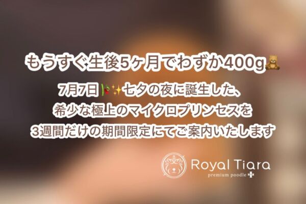 11-29-1300%e6%9b%b4%e6%96%b0%e2%99%aa-%e3%82%82%e3%81%86%e3%81%99%e3%81%90%e7%94%9f%e5%be%8c5%e3%83%b6%e6%9c%88%e3%81%a7%e3%82%8f%e3%81%9a%e3%81%8b400g-7