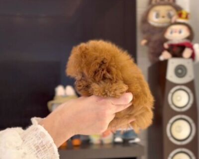 thumbnail_photo-output