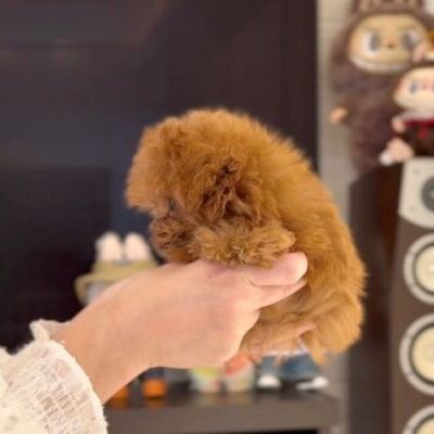 thumbnail_photo-output