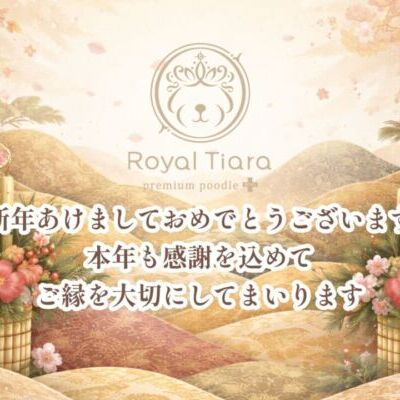 thumbnail_photo-output (1)