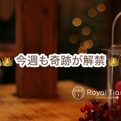 thumbnail_photo-output