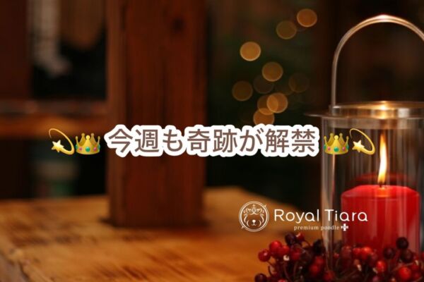 %e7%b7%8a%e6%80%a5%e5%91%8a%e7%9f%a5%e3%80%8012-14-1930%e6%9b%b4%e6%96%b0%e2%99%aa%e3%80%80%e7%9a%86%e3%81%95%e3%81%be%e3%81%ae%e6%b8%a9%e3%81%8b%e3%81%aa%e6%83%b3