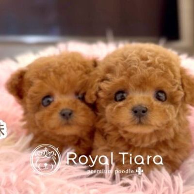 thumbnail_photo-output