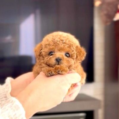 thumbnail_photo-output