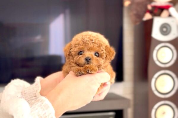 %e3%82%a8%e3%83%ab%e3%82%b5%e3%81%a1%e3%82%83%e3%82%93-12-20-1800%e6%9b%b4%e6%96%b0%e2%99%aa-%e6%9d%a5%e5%b9%b41%e6%9c%88%e4%b8%ad%e6%97%ac%e4%bb%a5%e9%99%8d