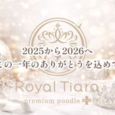 thumbnail_photo-output