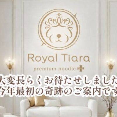 9b097ff2-4942-48f9-945a-c69a2652c0d1