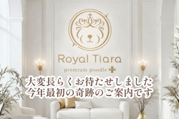 9b097ff2-4942-48f9-945a-c69a2652c0d1