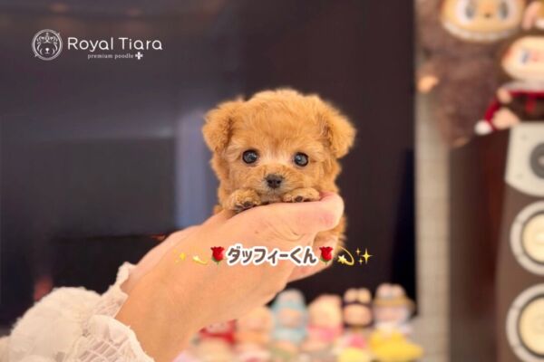 %e3%83%80%e3%83%83%e3%83%95%e3%82%a3%e3%83%bc%e3%81%8f%e3%82%93-1-22-1200%e6%9b%b4%e6%96%b0%e2%99%aa%e3%81%af%e3%81%98%e3%82%81%e3%81%a6%e3%81%ae%e3%81%8a