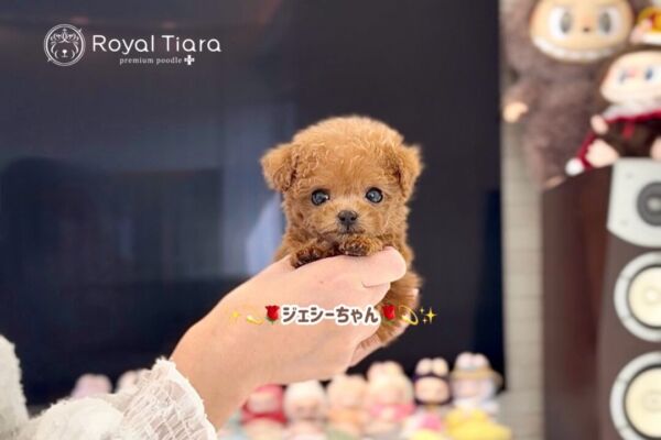 %e3%82%b8%e3%82%a7%e3%82%b7%e3%83%bc%e3%81%a1%e3%82%83%e3%82%93-1-30-1300%e6%9b%b4%e6%96%b0%e2%99%aa-%e3%80%90%e3%81%8a%e8%bf%8e%e3%81%88%e3%81%84%e3%81%9f