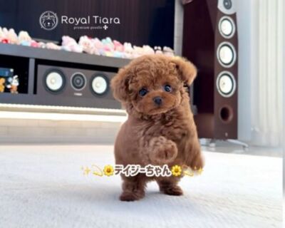 591a4eba-8490-4473-a68a-fcf0a808d636