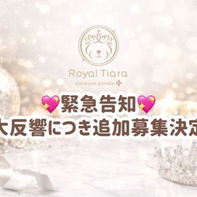 d0283ce7-cff5-494a-b9be-53a00256f07b