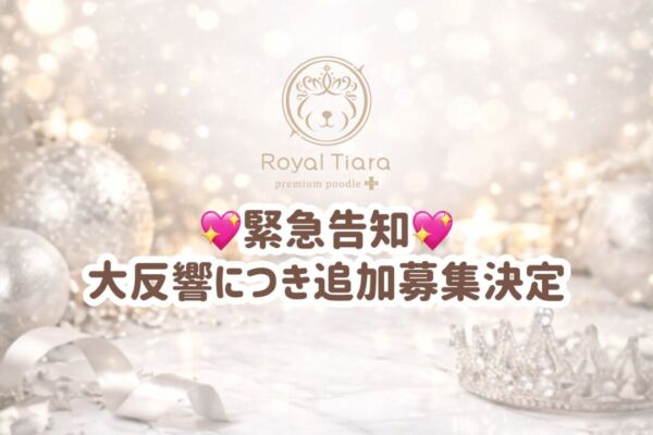 d0283ce7-cff5-494a-b9be-53a00256f07b