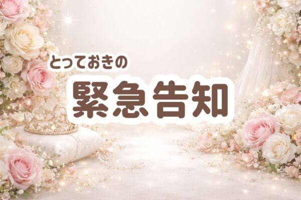 ebf9c74e-9778-4272-b29b-faeabef33122