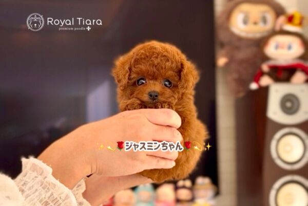 %e3%82%b8%e3%82%a7%e3%82%b7%e3%83%bc%e3%81%a1%e3%82%83%e3%82%93-2-1-1300%e6%9b%b4%e6%96%b0%e2%99%aa-%e5%b2%90%e9%98%9c%e7%9c%8c%e5%b2%90%e9%98%9c%e5%b8%82