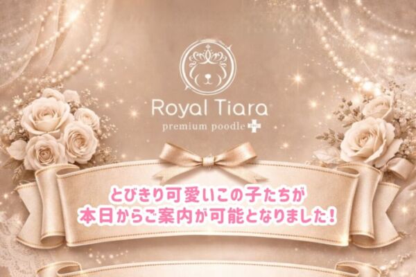 7c69a735-c35a-46c9-a2b4-9779b5d59af1