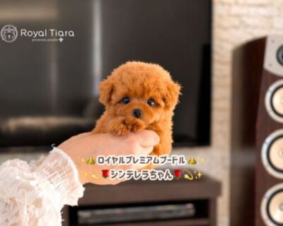 26a1187a-92fe-48a1-bc88-8128c73e57df