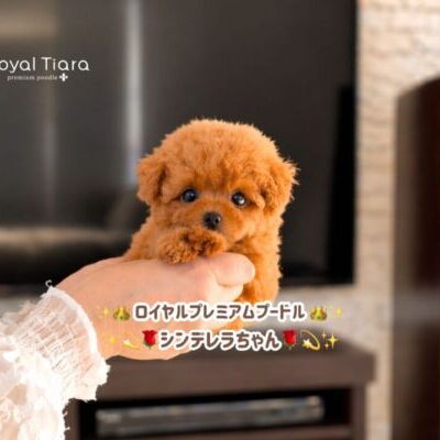 26a1187a-92fe-48a1-bc88-8128c73e57df