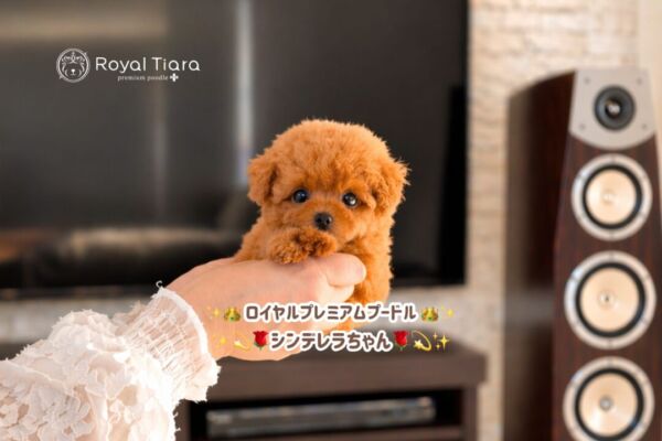 26a1187a-92fe-48a1-bc88-8128c73e57df