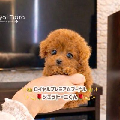 7f806429-4f85-4e5a-a5fa-1ff8bea4a569