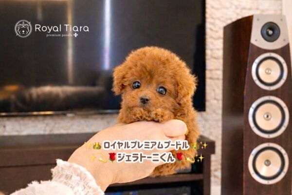 7f806429-4f85-4e5a-a5fa-1ff8bea4a569