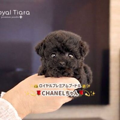 c7d39d21-635e-4136-be53-c7db3f404ed4