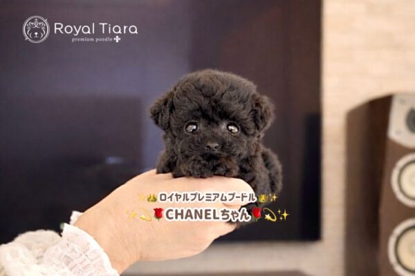 c7d39d21-635e-4136-be53-c7db3f404ed4