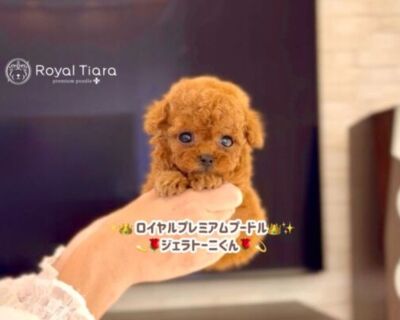 3f251575-0b22-42f9-8d09-d51c50f19bfc