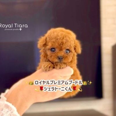 3f251575-0b22-42f9-8d09-d51c50f19bfc