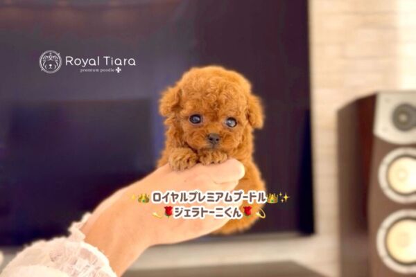 3f251575-0b22-42f9-8d09-d51c50f19bfc