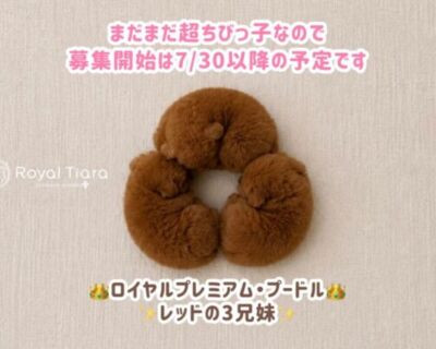 ff841bed-9395-4955-9c54-edd5847722cd