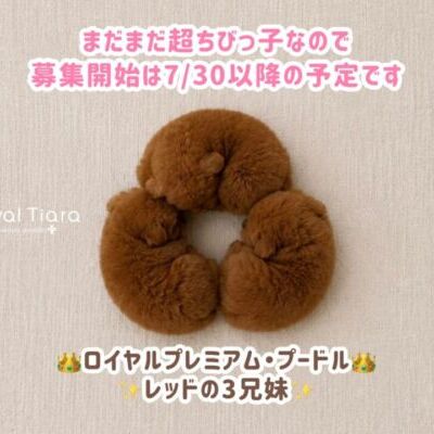 ff841bed-9395-4955-9c54-edd5847722cd