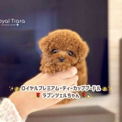 rrr