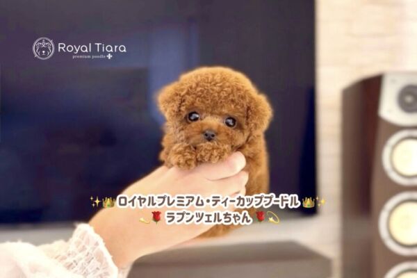 rrr